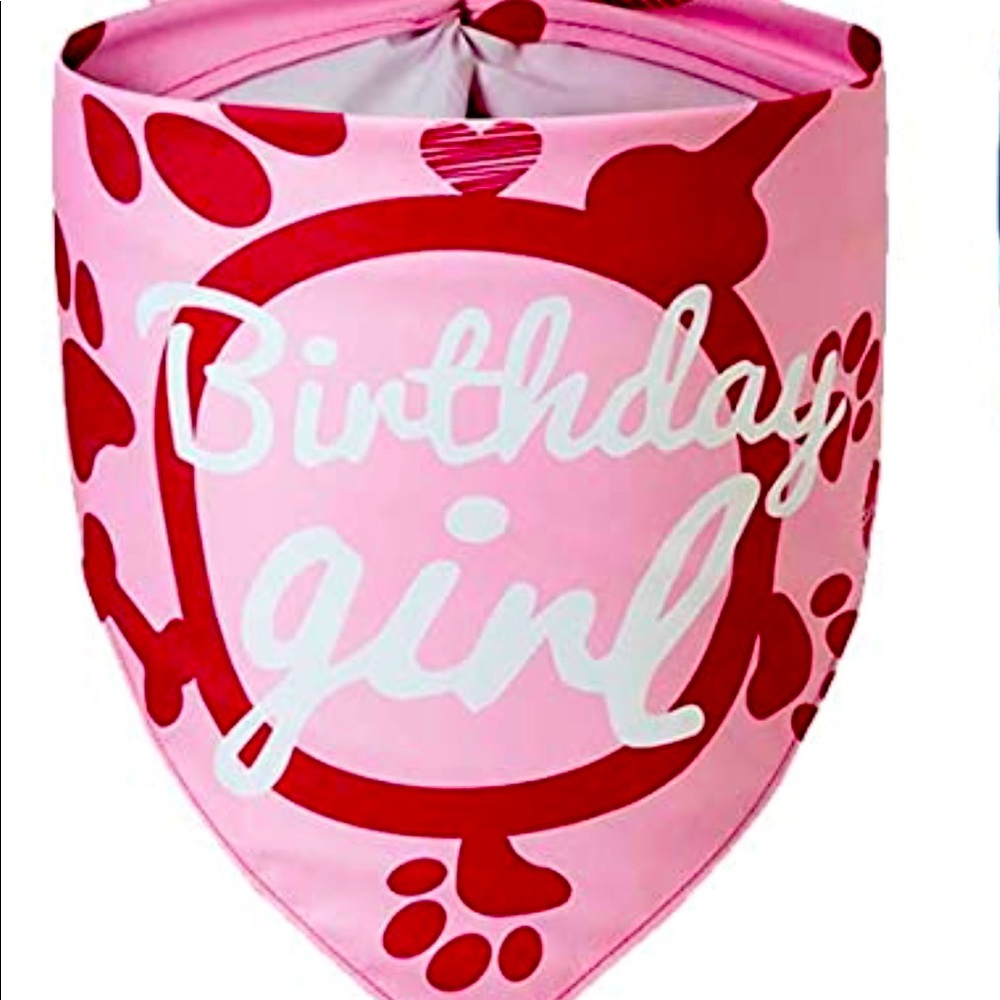 Birthday Girl Dog PINK Bandana NWOT LARGE